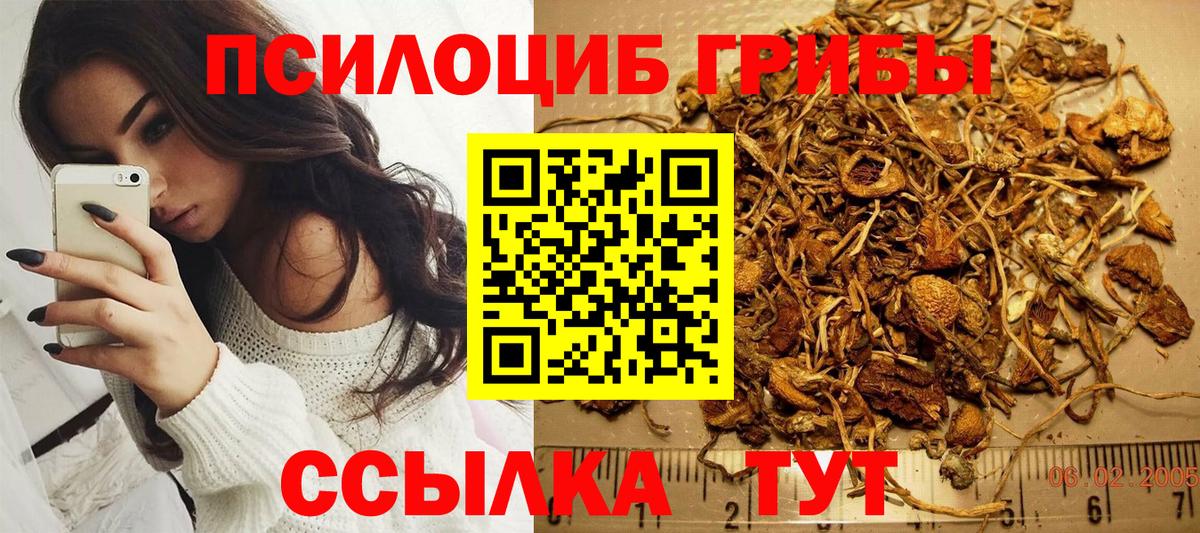 Воронеж  Галлюциногенные грибы Cubensis  Вход с VPN 